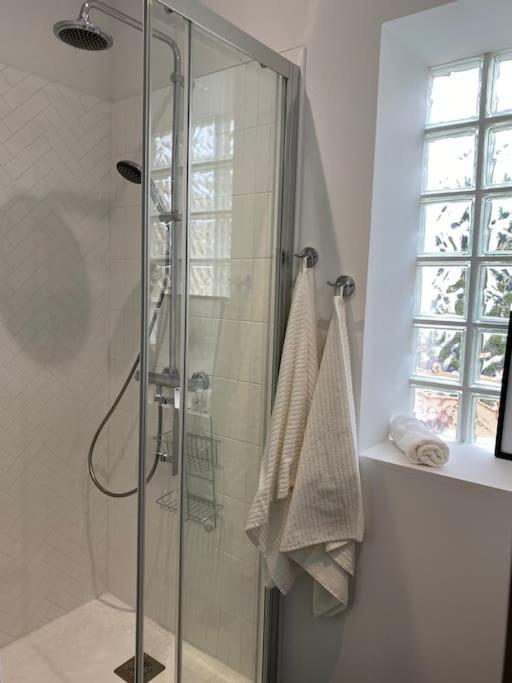 Apartment Le Jungle: T2 Coquet Et Confort! Agen